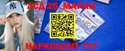гидропоника Новозыбков