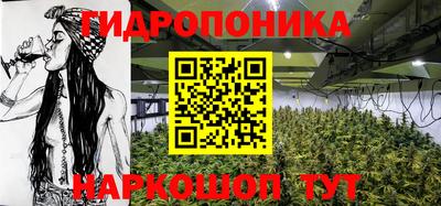 МДПВ Новодвинск