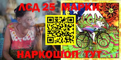 гидропоника Новозыбков