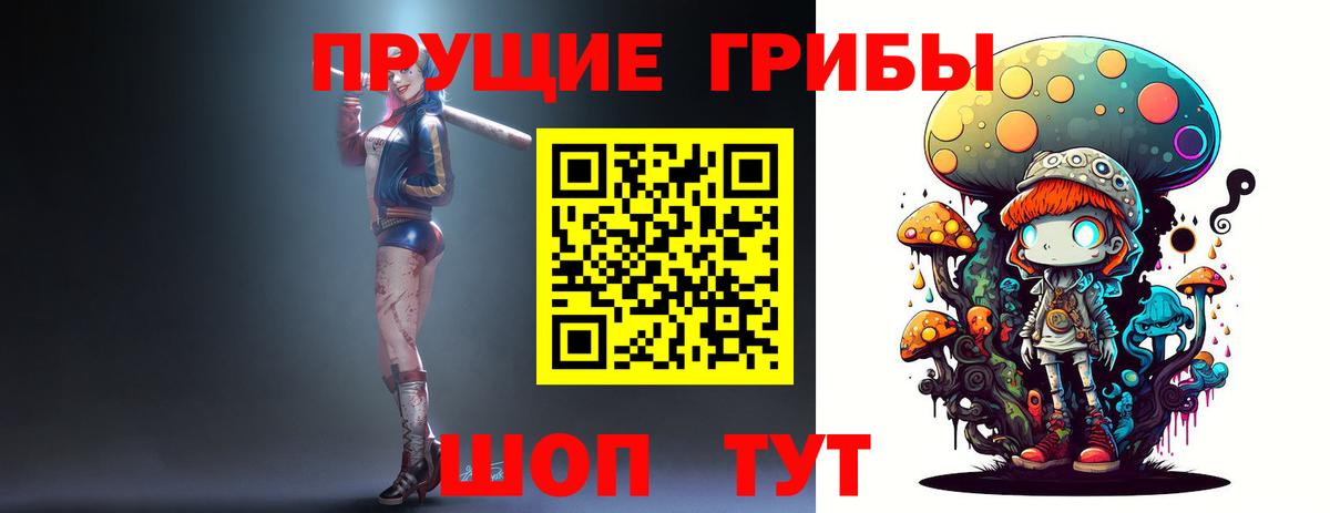 Псилоцибиновые грибы Cubensis  Вход с VPN  Щёкино 